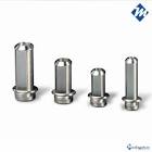 SCREW 811-450  LP CROSSLINK  TI