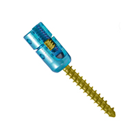 SCREW 8612245 CLRD SACRAL 6.5X45MM