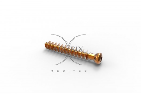 SCREW 6900506 VAS CANCELLOUS 3.5X6MM TI