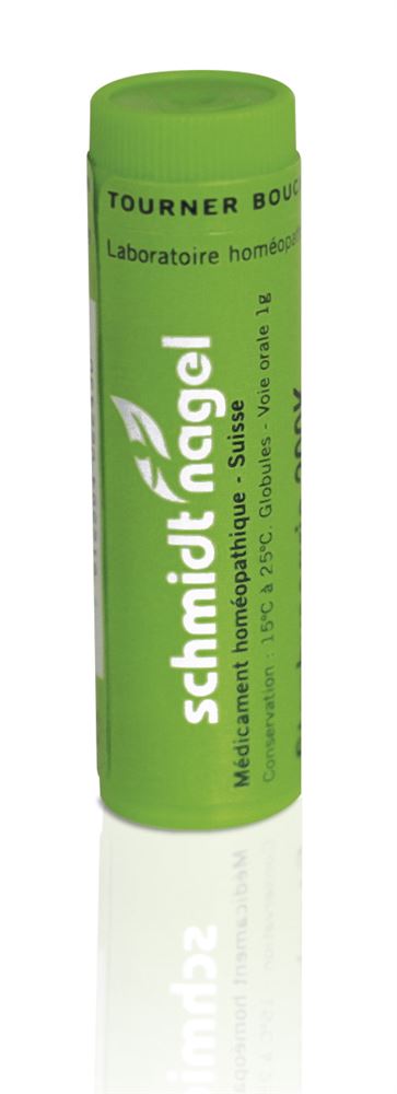 SN Rhus Toxicodendron Glob CH 200 1 g