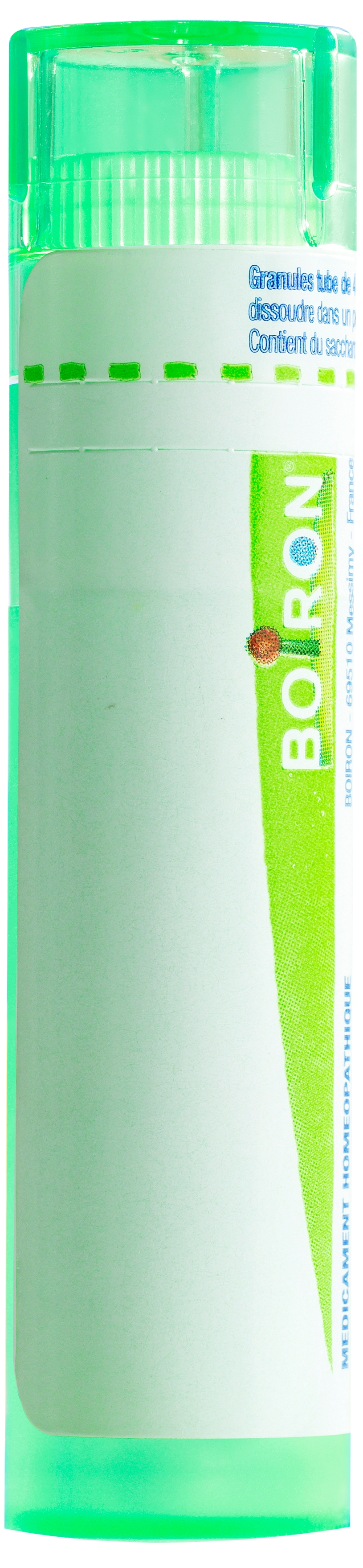BOIRON Ruta graveolens Gran CH 5 4 g