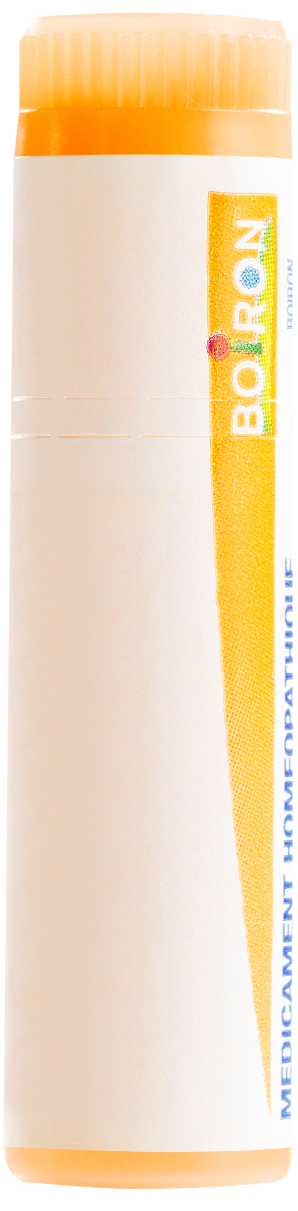 BOIRON Arnica montana Glob CH 15 1 Dos