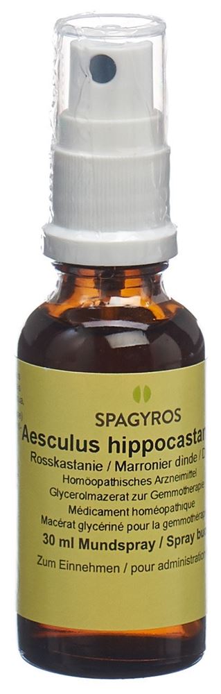 SPAGYROS GEMMO Aesculus hippo Glyc Maz D 1 30 ml