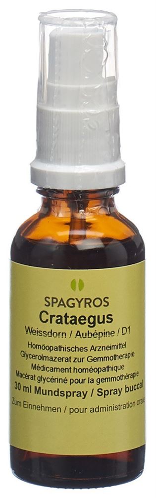SPAGYROS GEMMO Crataegus laevi Glyc Maz D 1 30 ml