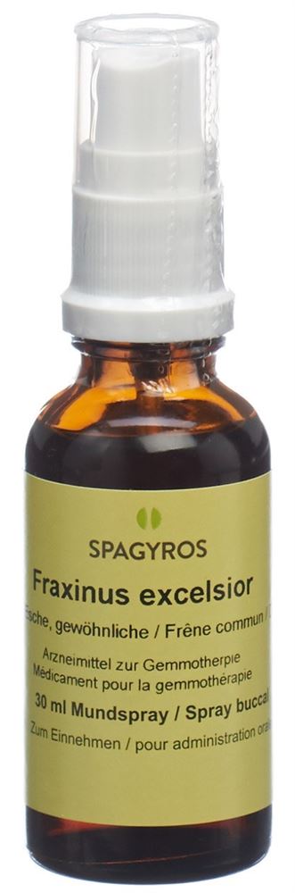 SPAGYROS GEMMO Fraxinus excel Glyc Maz D 1 30 ml