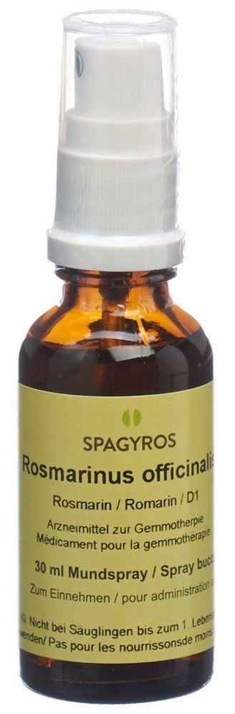 SPAGYROS GEMMO Rosmarinus off Glyc Maz D 1 30 ml