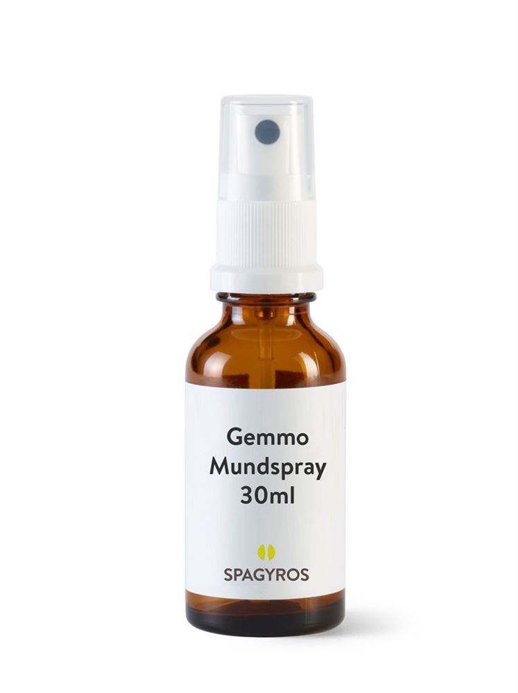 SPAGYROS GEMMO Viscum album Glyc Maz D 1 30 ml