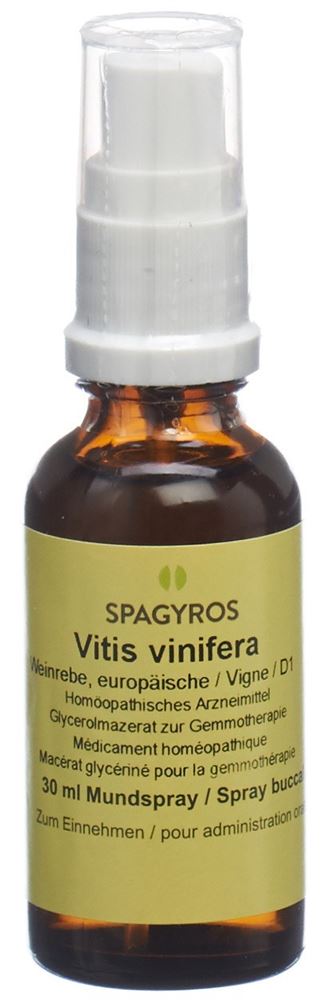 SPAGYROS GEMMO Vitis vinifera Glyc Maz D 1 30 ml