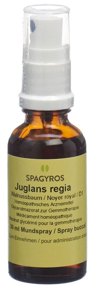 SPAGYROS GEMMO Juglans regia Glyc Maz D 1 30 ml