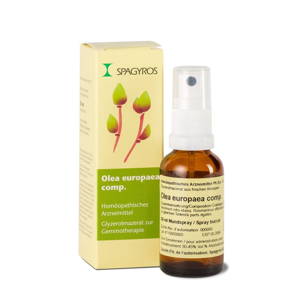SPAGYROS GEMMO Olea europaea Glyc Maz D 1 30 ml