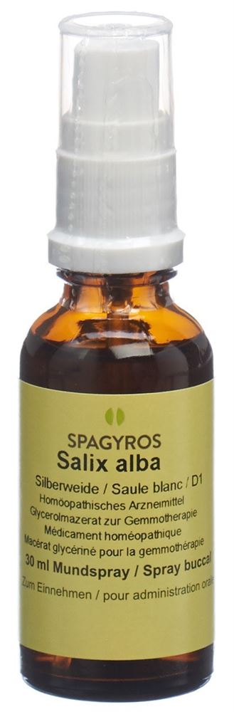 SPAGYROS GEMMO Salix alba Glyc Maz D 1 30 ml