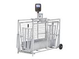 CAGE 2968040INT CLYDESDL 18 6 DEG 10X40