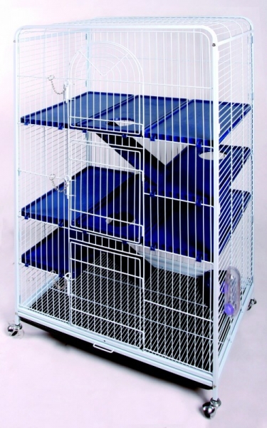 CAGE 2969840INT CLYDESDL 18 0 DEG 8X40
