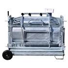 CAGE 2926645INT CLYDESDL 22 6 DEG 16X45