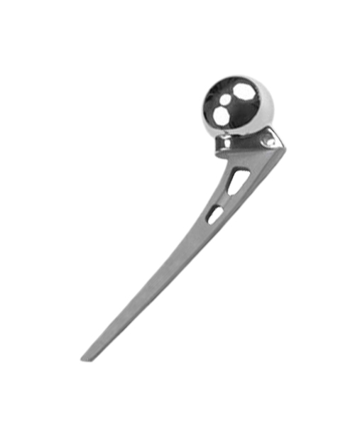 PROSTHESIS 1156305 AUSTIN TOTAL 3MM HD