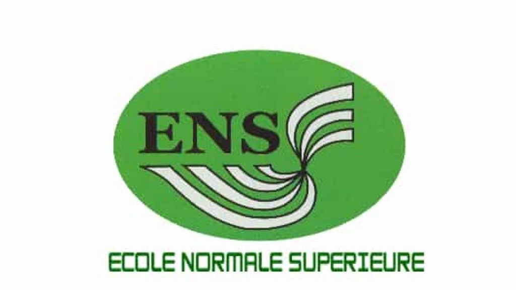 ENS 97725 WIRELESS PAIN STIM