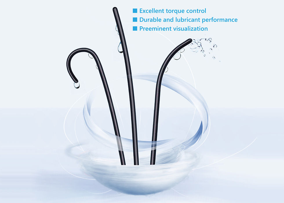 AVIGO HYDROPHILIC GUIDEWIRE 205CM