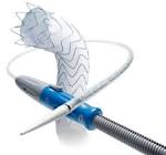 STENT GRAFT VAMC2828C100TE CAPTIVIA
