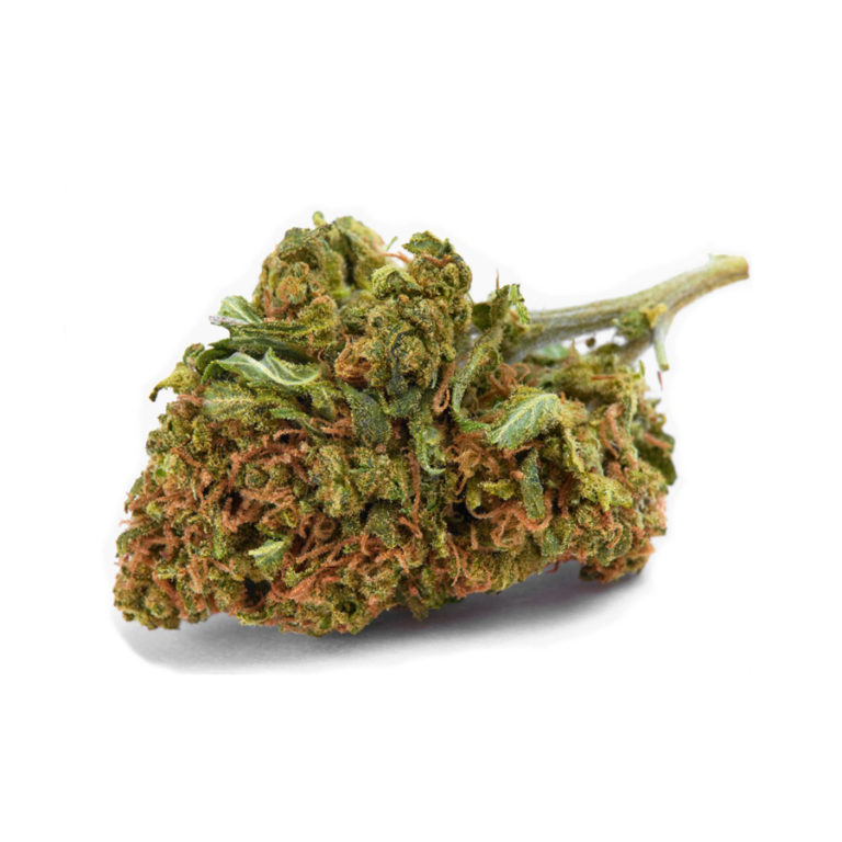 BUR ENTMR8 CUT CBD 8MM STD