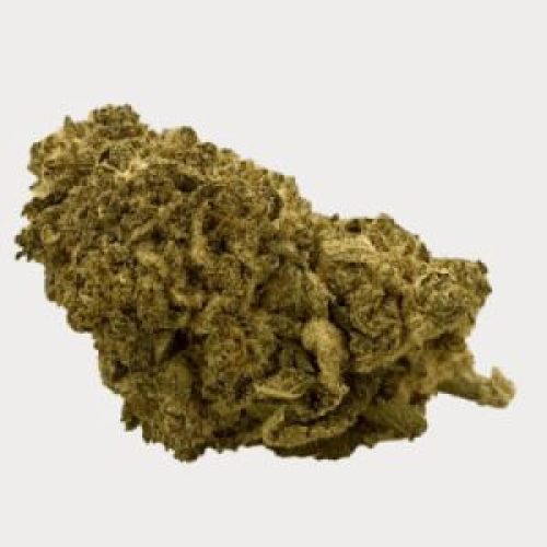 BUR ENTMR8 CUT CBD 7MM STD