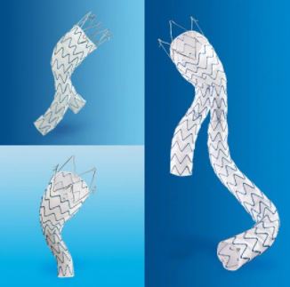 STENT GRAFT ETUF2514C102EE ENDUR II AUI