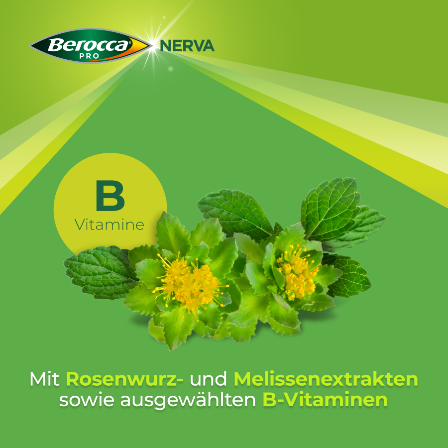 BEROCCA PRO NERVA Brausegran Btl 40 Stk