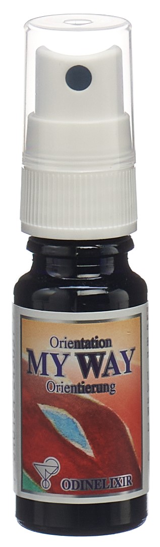 ODINELIXIR My Way Blüteness o Alk Spr 10 ml