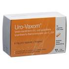 Uro-Vaxom, capsules
