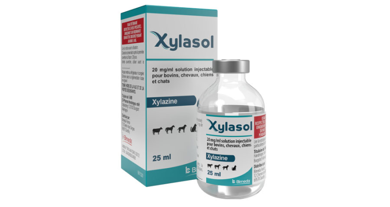 XYLESINE sol inj 500 mg/50ml a cons 10 x 50 ml