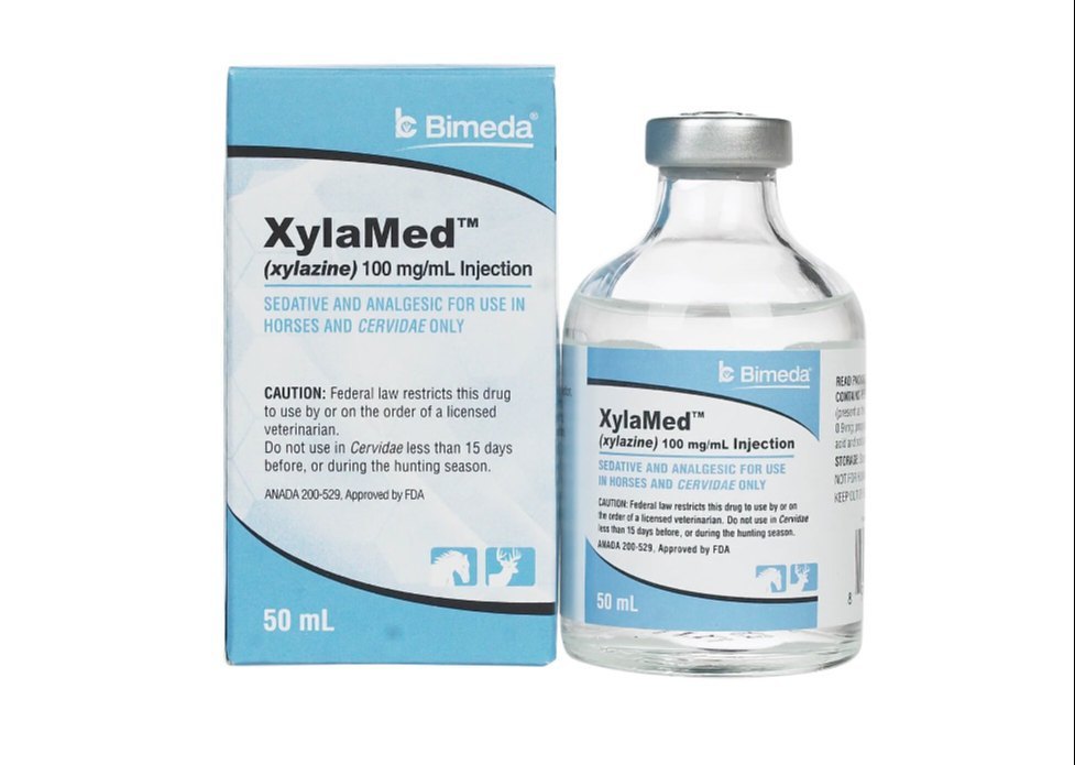 XYLESINE sol inj 1000 mg/50ml a cons 50 ml