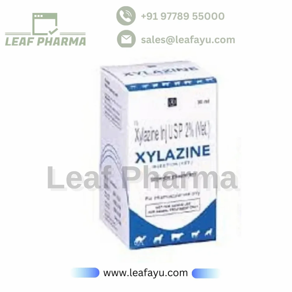 XYLESINE sol inj 1000 mg/50ml a cons 50 ml