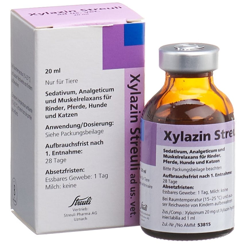 XYLESINE sol inj 1000 mg/50ml a cons 10 x 50 ml