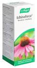 Echinaforce Resistenz - Erkältung, Tropfen zum Einnehmen