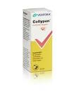 Collypan yeux irrités, collyre en solution