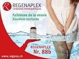 Regenaplex Nr. 88b, Tropfen zum Einnehmen