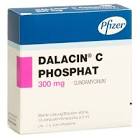 Dalacin C Phosphat 300 mg, Injektionslösung