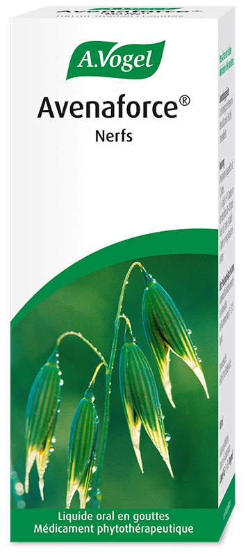 Avenaforce Nerven, Tropfen zum Einnehmen