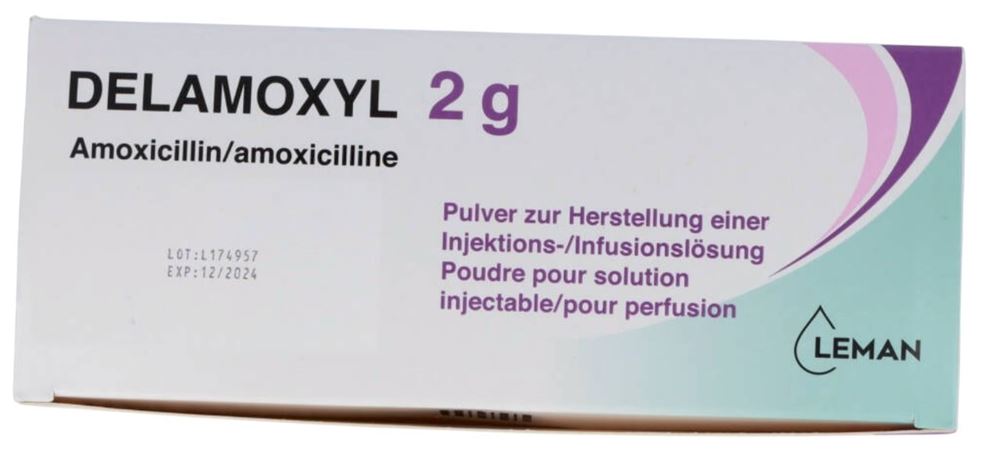 DELAMOXYL subst sèche 2 g flac 10 pce