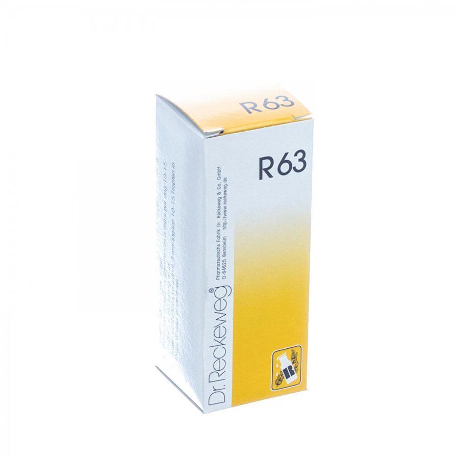 Dr. Reckeweg R 63 Endangitin, gouttes buvables
