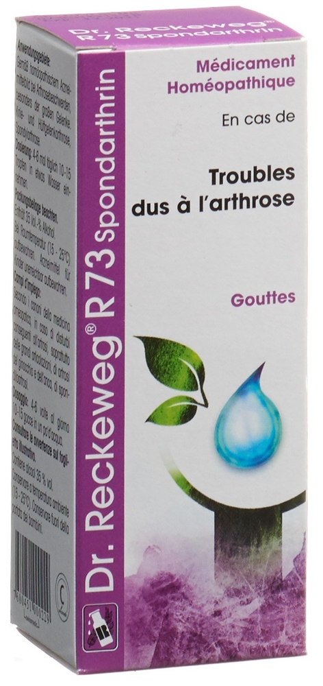 RECKEWEG R73 Spondarthrin gouttes fl 50 ml