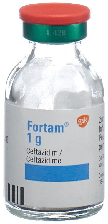 FORTAM subst sèche 1 g flac