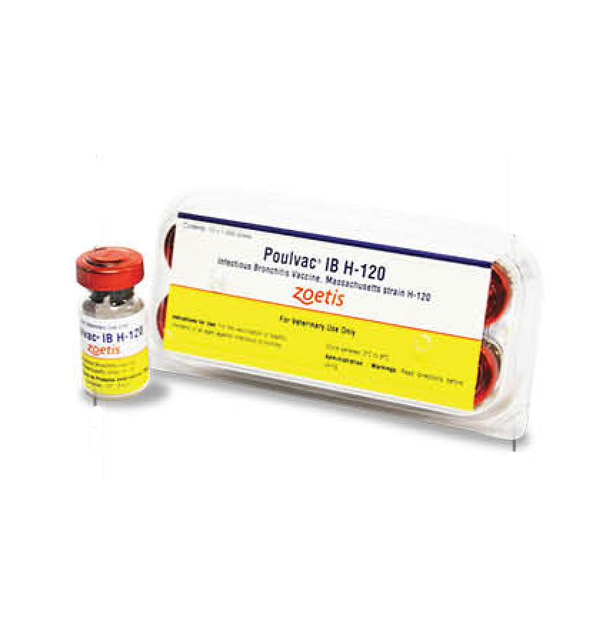 Polvac Gräser + Roggen Kombipackung, Injektionssuspension in einer Fertigspritze