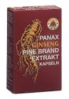Panax Ginseng Pine Brand Extrakt, Weichkapseln