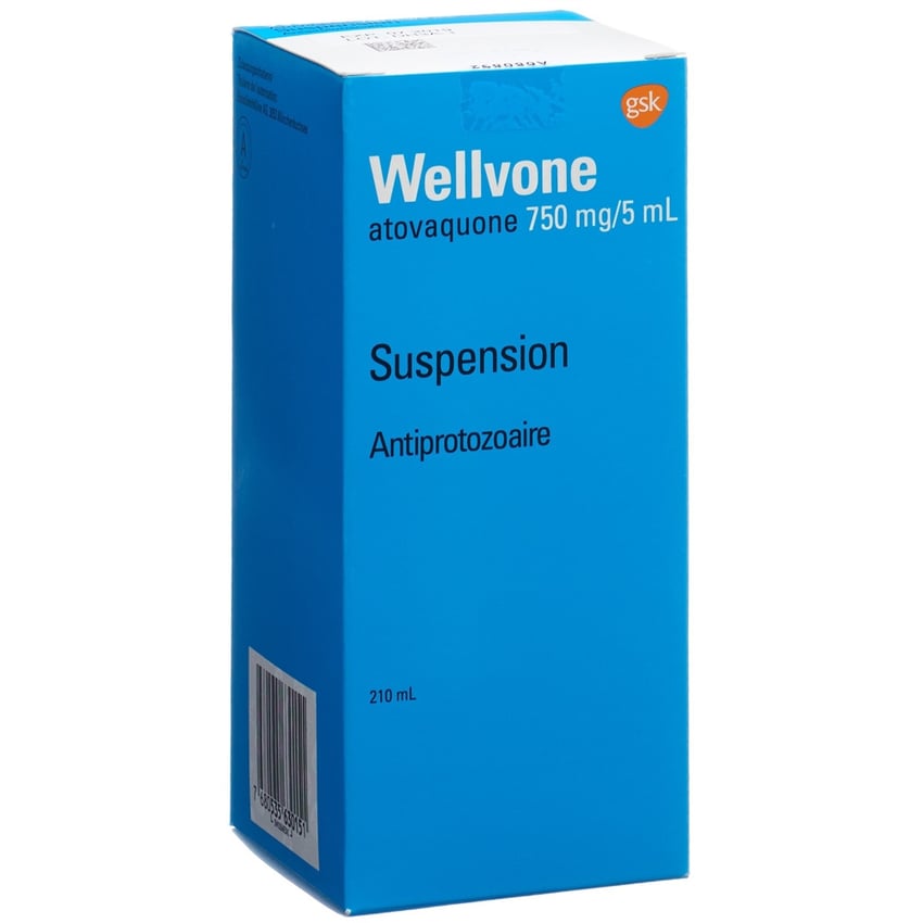 Wellvone, Suspension