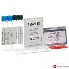 Pylori 13