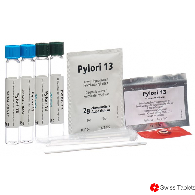 Pylori 13