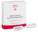Wala Euphrasia Einzeldosis-Augentropfen, Augentropfen