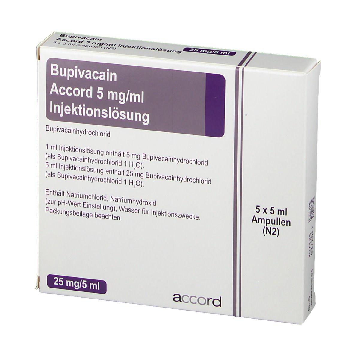 Bupivacain Sintetica 1,25 mg/ml, soluzione per infusione