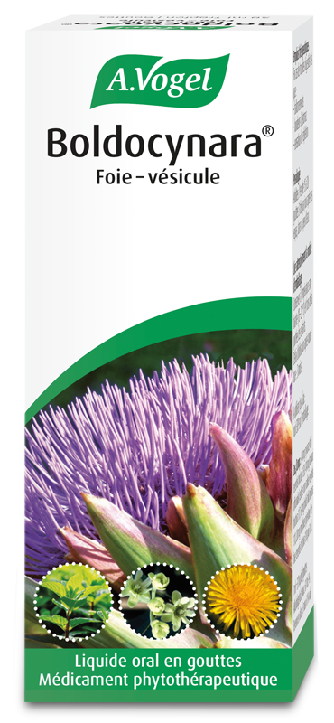 Boldocynara Leber-Galle, Tropfen zum Einnehmen