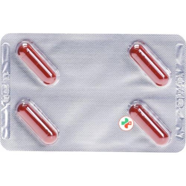 ITRACONAZOL Mepha 4 capsules 100 mg 4 pce